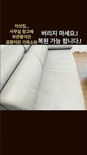 곰팡이핀 가죽소파 복원가능 #가죽소파청소#직물청소전문업체#전북소파청소#충남의자청소#대량전지역출장#군산쇼파청소