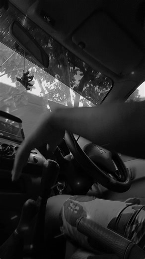 Conjunto Primavera: Las Mejores Canciones y Momentos