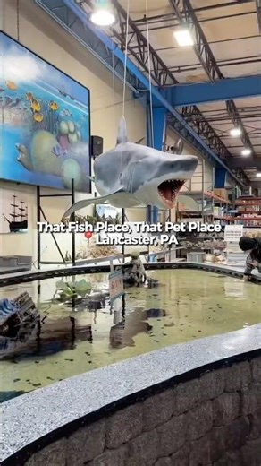 The Largest Pet Store in the U.S. Is in Amish Country 😳