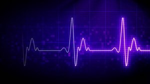 Seamlessly Looping Heart Monitor Stock Footage Video (100% Royalty-free) 287218 | Shutterstock