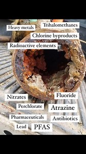 36K views · 213 reactions | Alright, let’s talk about clean water and...