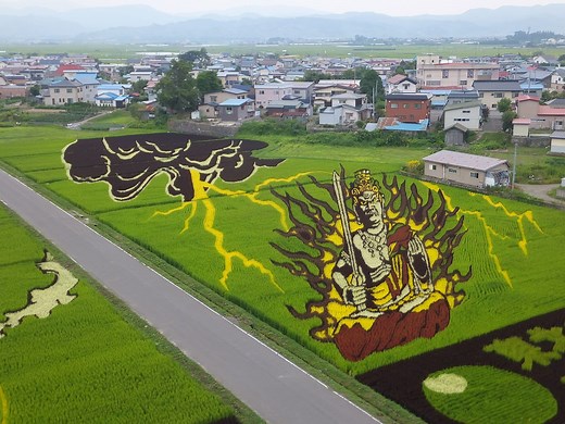 Japan's 'rice paddy art' blends modern technology and ancient crops to make living artwork