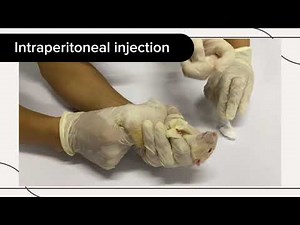 VET PHARMA 1 | Routes of Drug Administration | (3B-6)