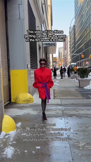 Iconic Moments: Lisa Rinna Carried by Paparazzi in NYC Snow