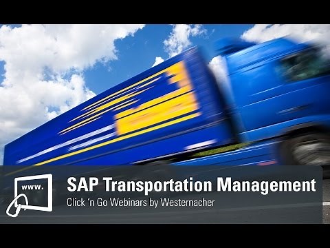 SAP Transportation Management (SAP TM) Overview.