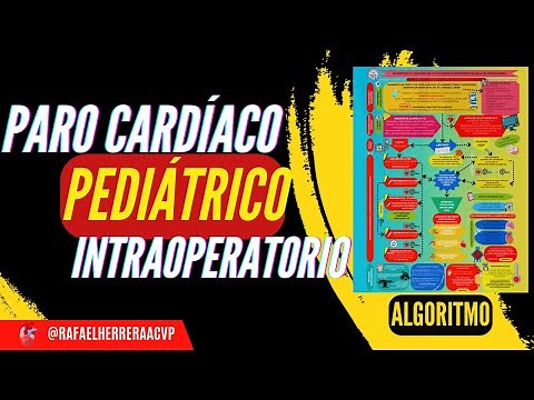 (STEP by STEP) Intraoperative Pediatric Cardiac Arrest: Basic and Advanced