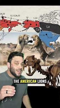 The Evolution of Lions #animals #evolution #paleontology #biology #learning #cats #bigcats #extinct