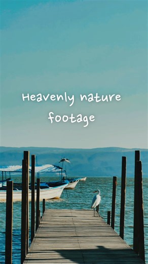 nature is everything#nature#edit#4k#wildlife