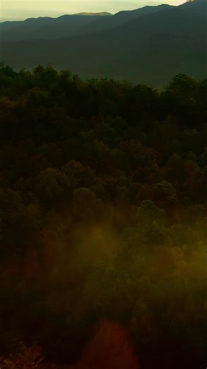 LAST CHANCE! Fall Hunting Classic deals end soon. Save big on the gear you need this season. | Bass Pro Shops | Facebook