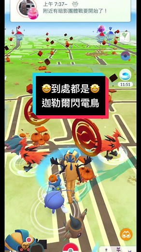 色違索羅亞在迦勒爾閃電鳥的出現