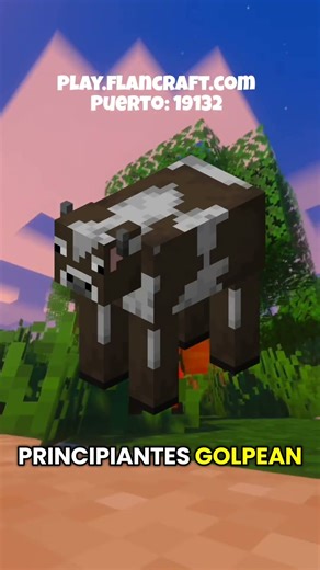 He creado mi propio servidor!Unete y juega conmigo!Java y Bedrock Play.flancraft.comPuerto: 19132