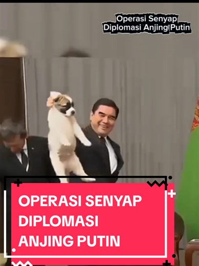 Diplomasi Anjing Putin: Momen Mendebarkan