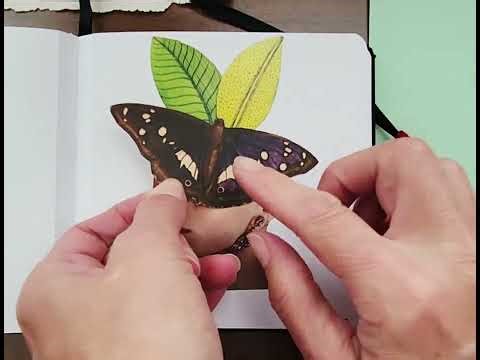 Small magazine cutout Collage