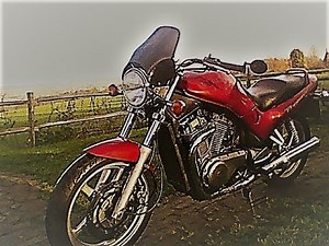 My Suzuki VX800