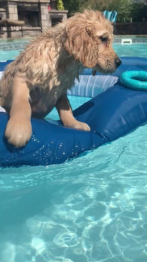 King of da pool float! | Charlie, Bodie, and Riggs