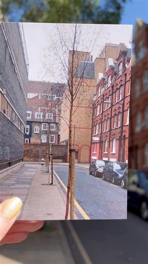 We're over here planting your local urban forest! 🌳 You may think that playing on grass, climbing trees and kicking fallen autumn leaves are common childhood experiences, but we know that this is not a reality for thousands of families living in urban areas. We want to change this! 🍃 This winter, we are asking thousands of people just like you to support our vision for a greener, healthier future, in our neighbourhoods, our schools and on our streets. Follow us and sign up to our newsletter to