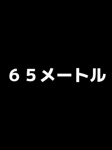 ソフトボール投げの記録 みんなは何メートル？#