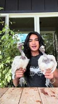 You won’t believe how these Turkeys Are Moving #funny#comedy#humor#lmao#comedysketch#funnyshorts