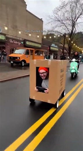 Man Drives Cardboard Box Like a Car in Public