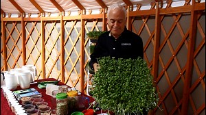 How to Grow Sunflower Sprouts!