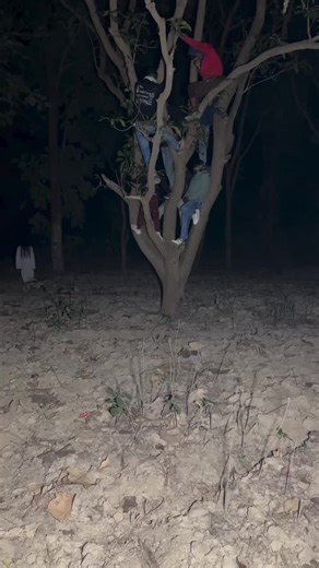 Real Ghost Encounters