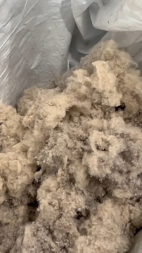 730K views · 6.5K reactions | Guys I found the perfect sectional this weekend but it was in TERRIBLE condition 若 I spent hours cleaning and taking off the extreme pilling the fabric had 﫠 but it was sooo worth it  #upholsterycleaning #fabricpilling #cleaning #clean #asmrclean #asmr #cleaningasmr #pillingremoval #sectionalcouch fabric pilling upholstery cleaning clean | Payten Richard | Facebook