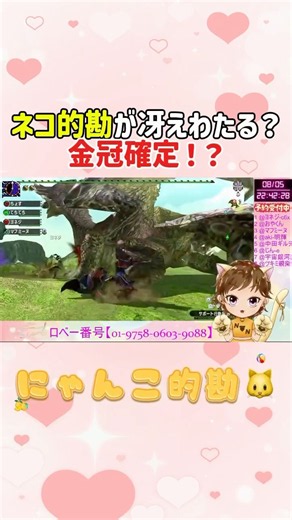 ネコ的勘が冴えわたる？金冠確定！？