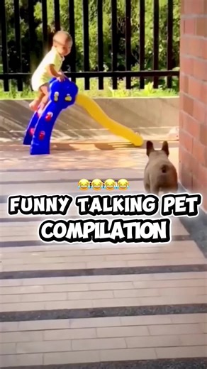 Try Not To Laugh Funny Pet Voiceovers