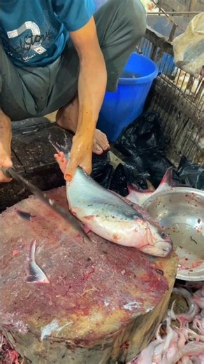 Amazing Super Fast Pangas Fish Cutting Skills Tutorials Videos In Fish Market #shorts