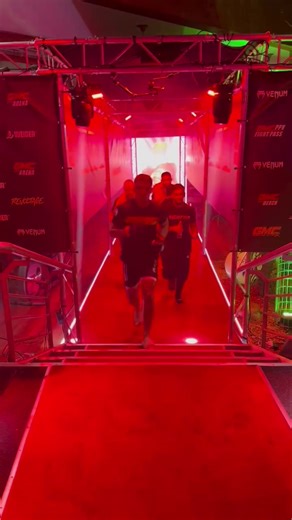 Get Ready for the Next MMA Fight in Germany