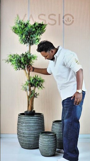 Large Indoor Planters for Living Room Decor | VASSIO Pots Collection