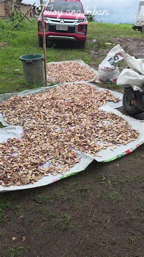 Madz Castejon on Reels