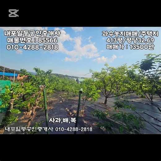 #덕산면 #토지매매 #413평 #예산군토지급매 #매매가 #13500만 #덕산면전원주택지매매 #덕산면과수농장매매 #덕산면토지급매 #내포신도시토지매매