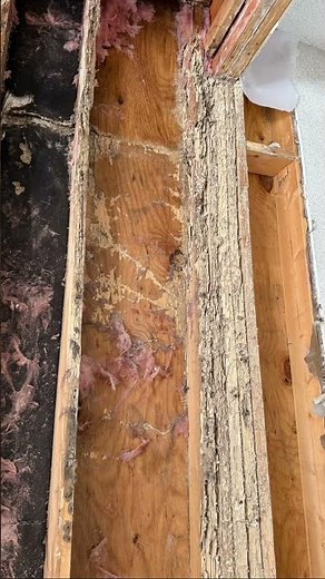 Termite and water damage 🫣. What’s behind your walls?