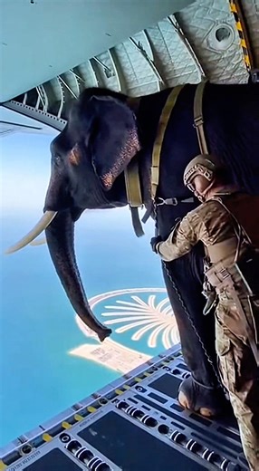 This Shouldn’t Be Possible 😳