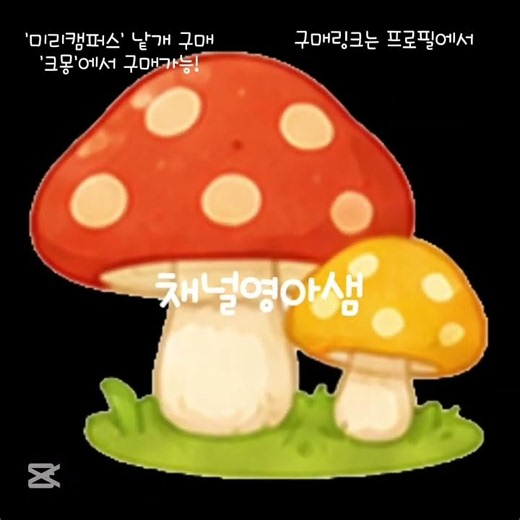 가을 일러스트 요소 미리캠퍼스 크몽 @채널영아샘