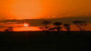 A Stunning Sunrise Over Plains Of Africa Stock Footage SBV-307927248 - Storyblocks