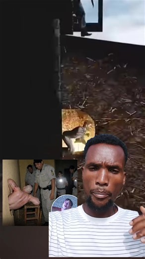 failed escaping plane..