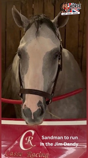 #sandman to run in the Jim Dandy in late July, if nothing changes!! #jimdandystakes | The Horse Talk Show