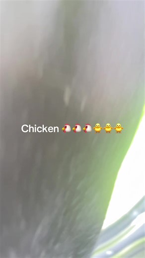 F1 (@f1_drive1)’s videos with original sound - F1