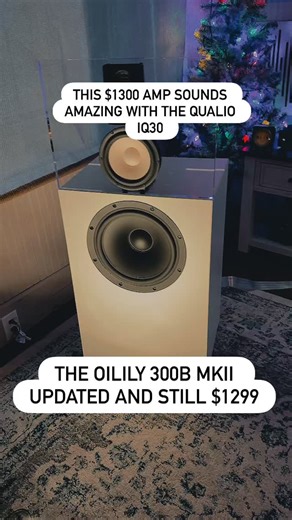 The new Oilily 300b amp sounds so dang good with the IQ30. What a sound in the room. #hifi #audio #audiophile #music | Steve Huff Photo