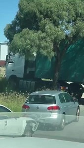 Truck Breaks Tree Attempting to Back Up
