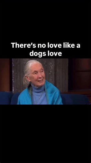 45K views · 18K reactions | A dogs love will always be unmatched. RIP Jane Goodall #dogs #dog #puppy #puppytraining #dogtraining #dogmemes # | Lobato Dog Training | Facebook