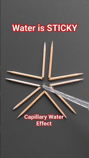 Sticky Water | Capillary Action Magic! Toothpick & Water Star Science Trick 🌟