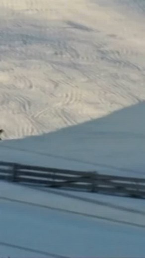 Vintage inspiration: @davidpitschi @absinthefilms - Transcendence 2001 🎥 @justinhostynek ? @brusti ? @pierrewikberg ? Coming from Switzerland, David Pitchi was a pro snowboarder in the early 2000s, known for filming with major productions like Absinthe Films and fearlessly sending it on the massive Hemsedal kickers. #bangingbeesvintageinspiration | BangingBees