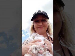 pillow ripping pillow fight pillow play pillow stab