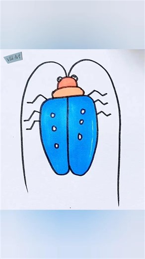 cockroach drawing #cockroachdrawing #drawing #art #vhhart