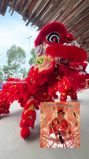 Experience the Lion Dance: A Cultural Journey