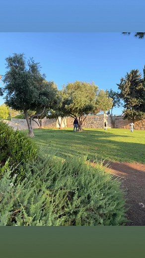 10K views · 839 reactions | Jerusalem! | Joshua Aaron | Facebook