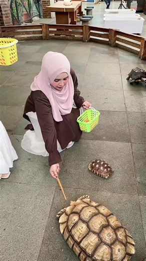 A fun day at the zoo🐢🐴 #zoo #holiday #bandung